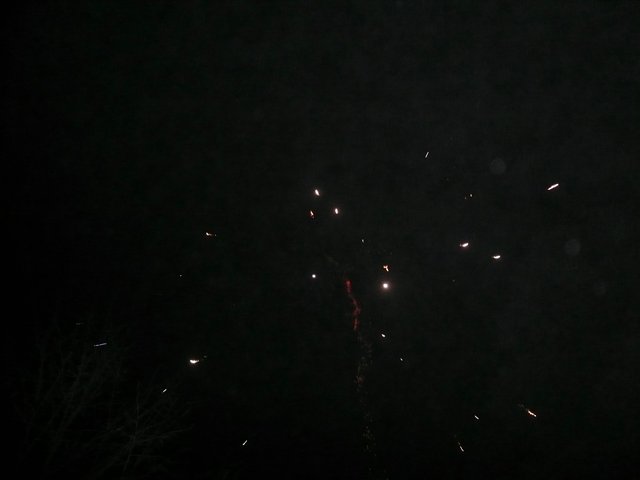 p1030943 rs