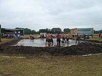 p1060584 rs