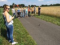 IMG 3387