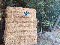 IMG-20190920-WA0019